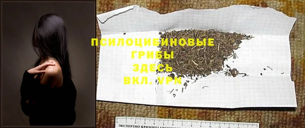 эйфоретик Бронницы