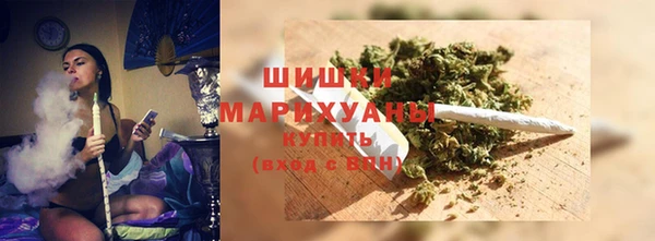 ALPHA PVP Бородино
