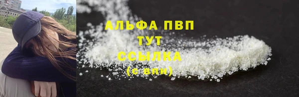 СК Богородицк