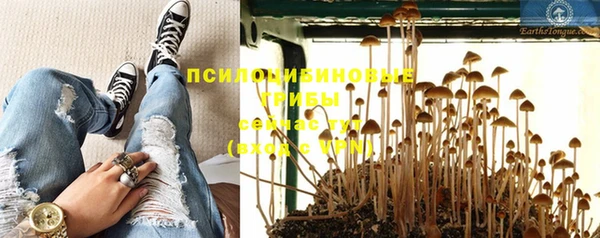 PSILOCYBIN Бугульма