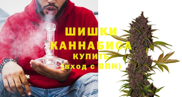 PSILOCYBIN Бугульма