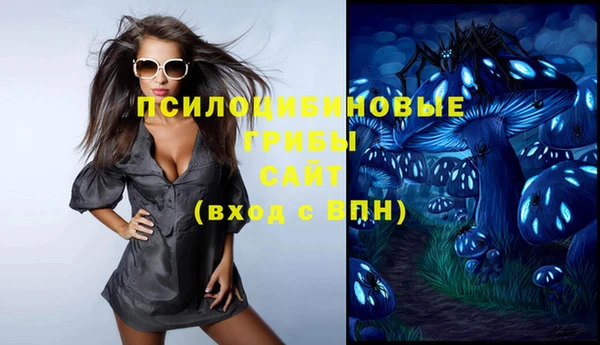 ALPHA PVP Бородино