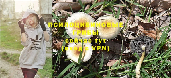 эйфоретик Бронницы