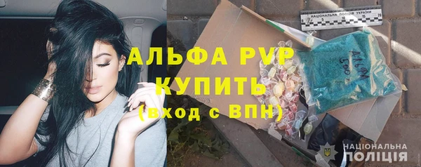 PSILOCYBIN Бугульма