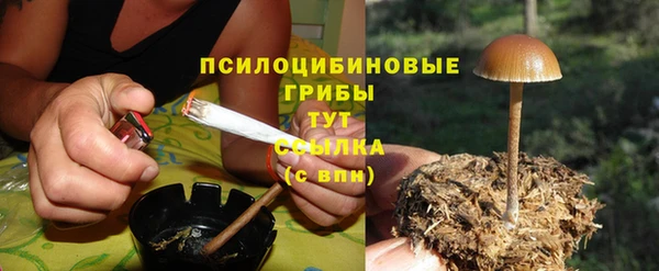 эйфоретик Бронницы